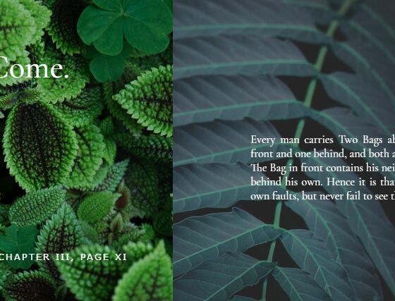 jQuery Slider transitions